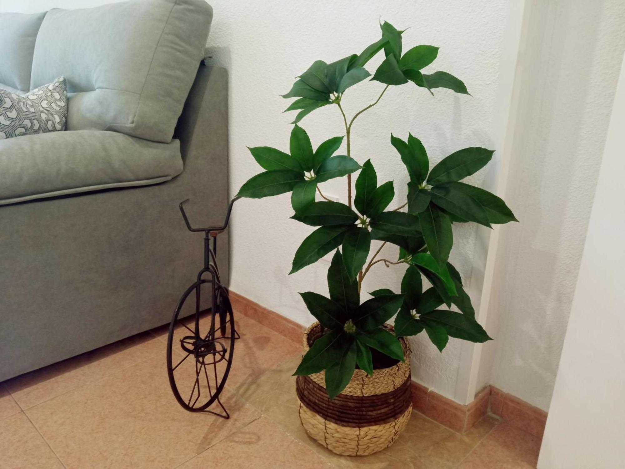 Apartamento Los Jardines De La Magdalena Кордова Экстерьер фото